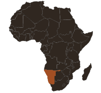 Namibia-African-Rosette